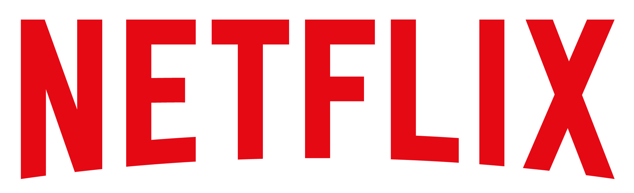 Netflix 12 months Private Plan